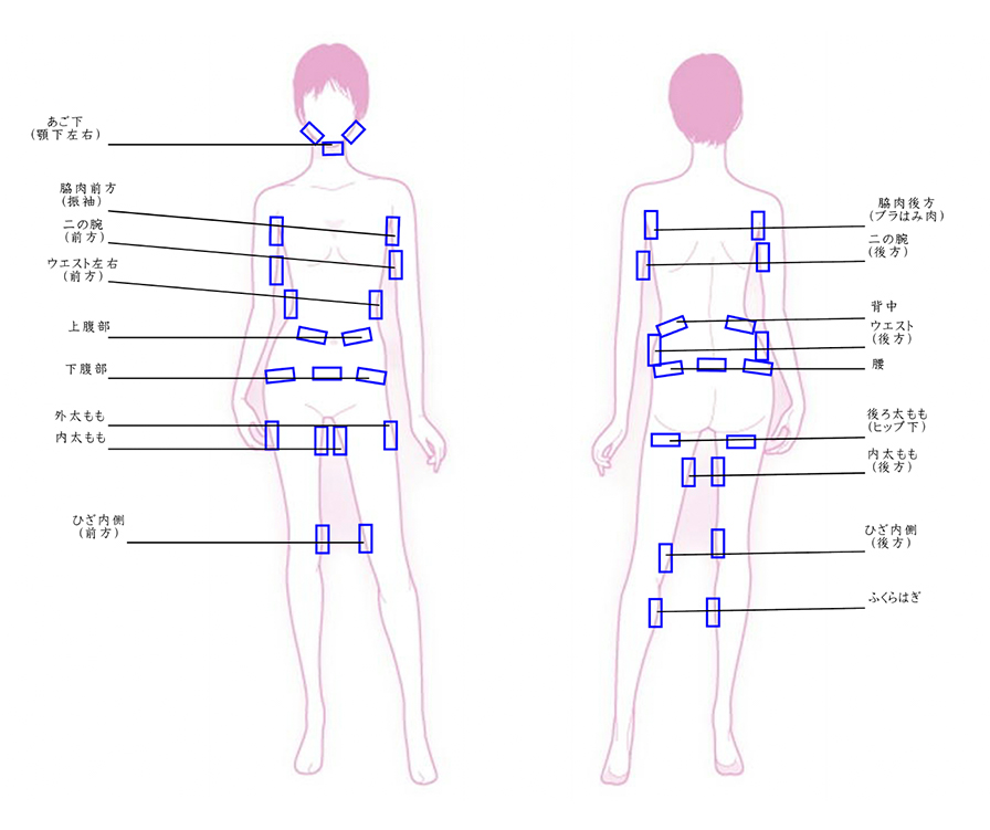 施術箇所
