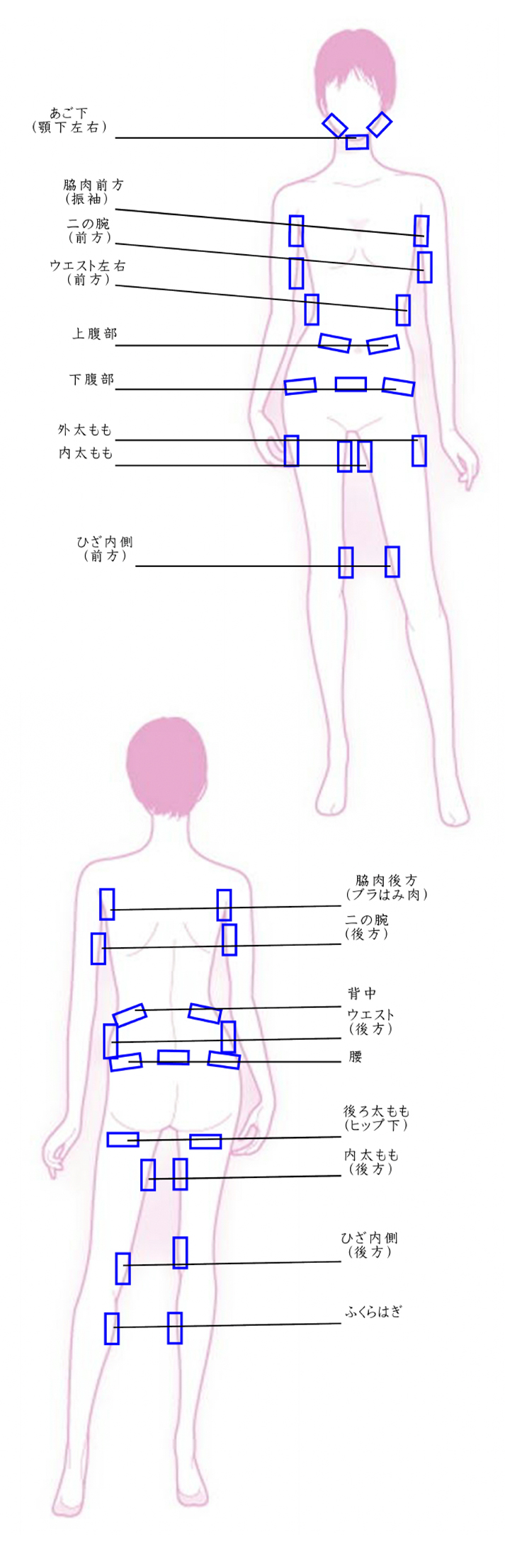 施術箇所